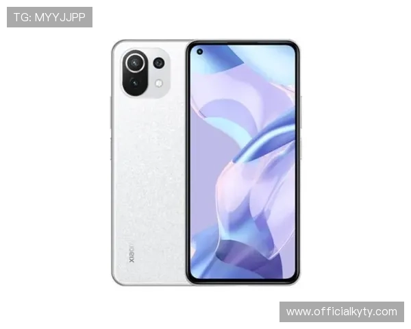 开云KY官网app官方入口及登录流程详解，助你快速进入开云KY官方平台