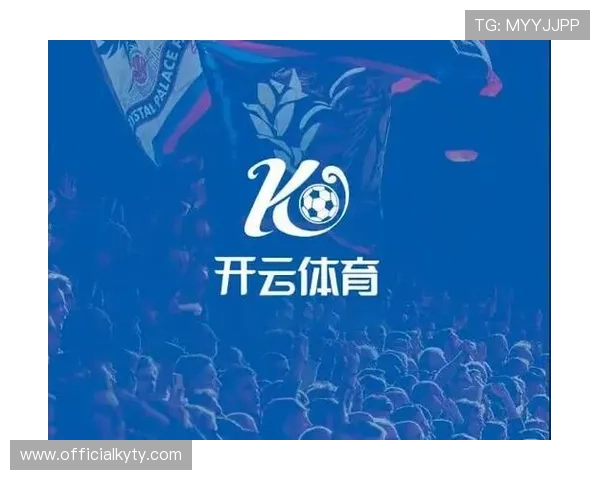 开云体育官方网址如何确保账号安全与防止登录风险的实用技巧