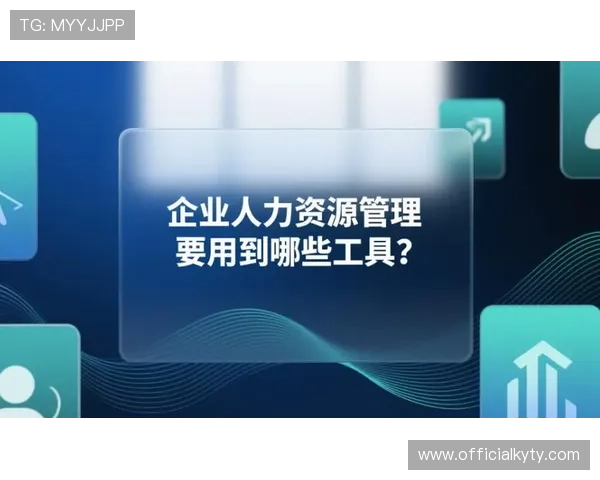 探讨开云体育备用网址的法律合规性,确保用户权益不受侵害